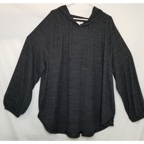Terra & Sky Women's Heather Gray Hoodie Long-Sleeve Relaxed Fit Pullover Size 3X - Picture 1 of 8